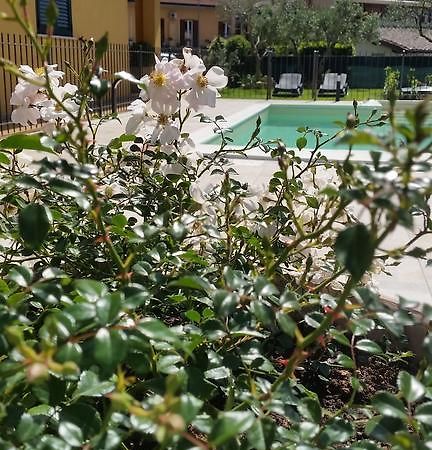 Residenza Cieloterra Guest House Rivotorto Exterior foto